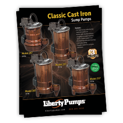 Classic Cast Iron Flyer