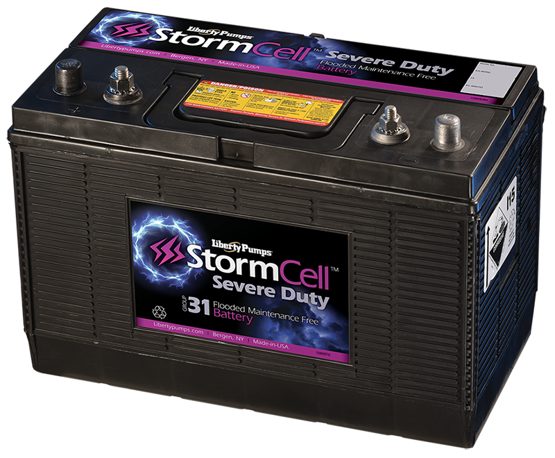 12 Volt Battery WET